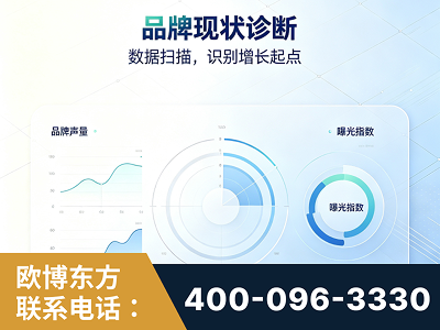 承德-品牌现状诊断